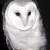 :iconbrewster283: