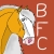 :iconbreyer-fan-club: