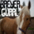 :iconbreyer-gurrl: