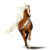 Breyer-Lover25 :iconbreyer-lover25:
