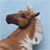 :iconbreyergirl: