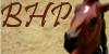 :iconbreyerhorsephotos: