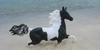 :iconbreyerography: