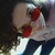 :iconbri-monster: