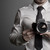 Briandesign :iconbriandesign: