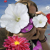 :iconbriannasue: