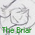 :iconbriars-and-blossoms: