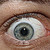 :iconbrice63: