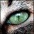 BrideOfObscurity :iconbrideofobscurity: