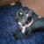 :iconbridie3000: