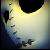 :iconbright-light: