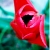 :iconbright-visualization: