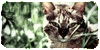 :iconbrightclan: