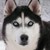 :iconbrightevenhollow: