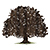 :iconbrightoakstudio: