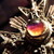 :iconbrightosquee: