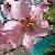 :iconbrightred-boots: