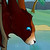 :iconbrightwolf1: