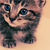 :iconbrigiborbely: