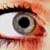 :iconbrigitte59: