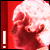 :iconBriky: