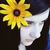 :iconbrileakni: