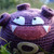 :iconbrilliantpants: