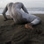 :iconbringtheheat: