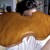 :iconbrinnmar: