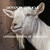 :iconbrisingr500: