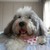 :iconbristolb7777:
