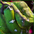 :iconbriteideasstudio: