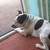 :iconbritish-turtle-pie: