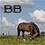 :iconbritishbreeds: