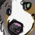 :iconbritishcollie: