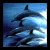 :iconBritney-TheDolphin: