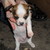 :iconbrittany1992381: