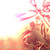 :iconbrixxize: