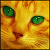 :iconbriya: