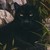 :iconbrizeydablackpanther: