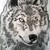 :iconbrizio92: