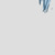 :iconbroadwinger: