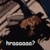 :iconbrochachonacho: