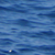 :iconbrocksta06: