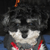 :iconbroken-chopsticks: