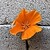 :iconbroken-cielo: