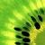 :iconbroken-harvest: