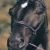 :iconbroken-heart1619: