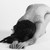 :iconbroken-lonley-angel:
