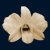:iconbroken-orchid: